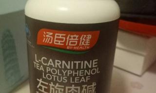 左旋肉碱有用么