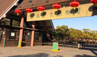 上海野生动物园路线
