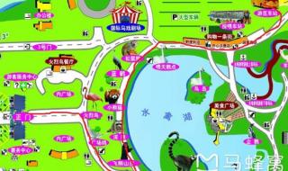 上海野生动物园路线