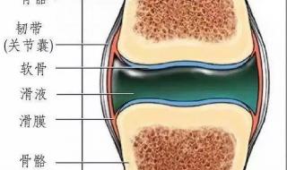 关节响是怎么回事