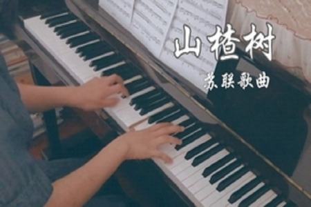 俄罗斯歌曲山楂树 山楂树 完整歌词