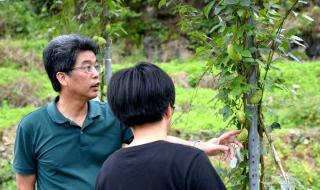 福建农业职业技术学院